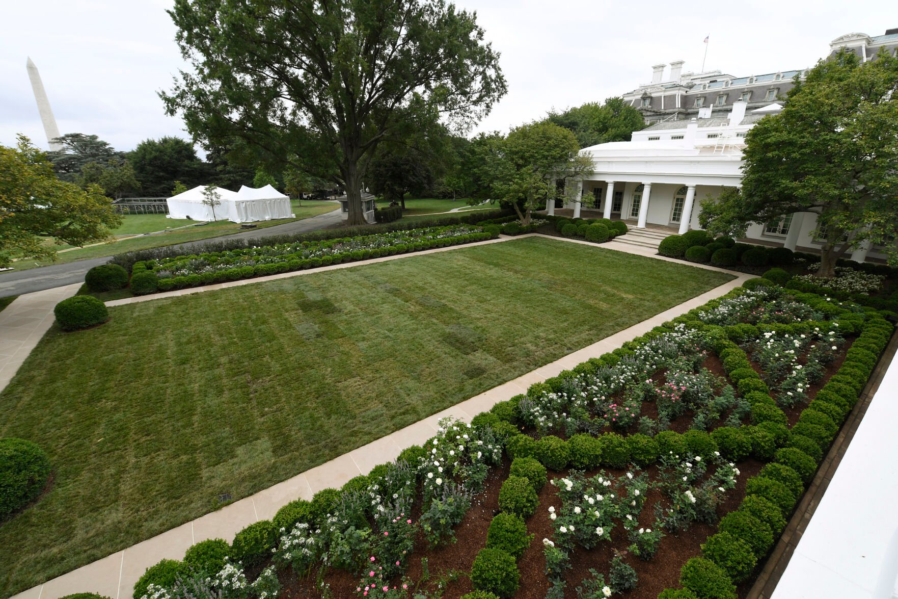 Photos An Up Close Look At The Newly Renovated White House Rose Garden   5f43e9232377a.image 