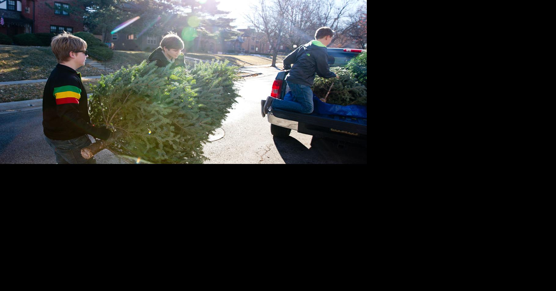 Did you have a live Christmas tree? Boy Scouts will pick it up or you can  take it to a drop-off site