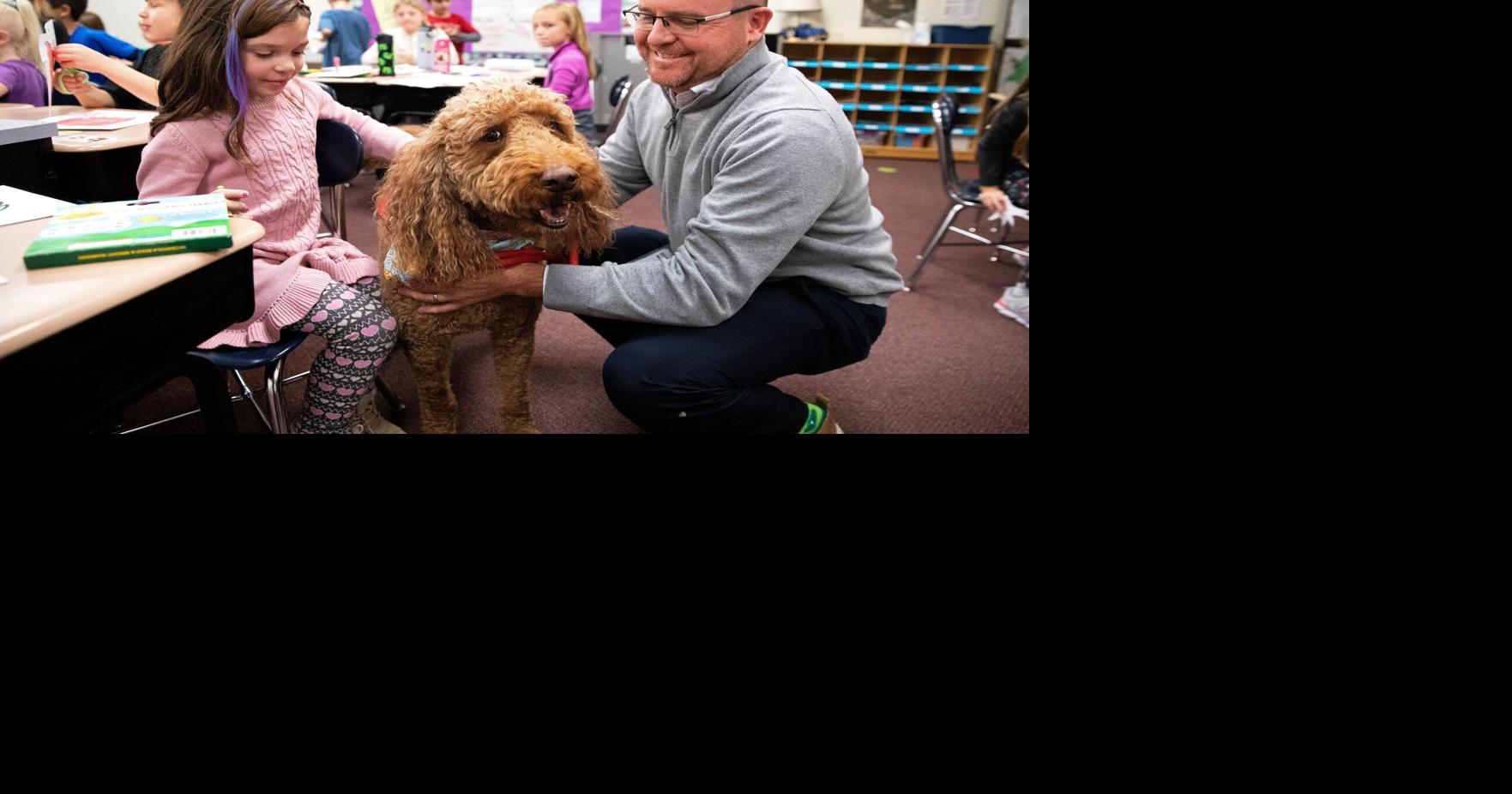 Nebraska schools use therapy dogs to help students and staff