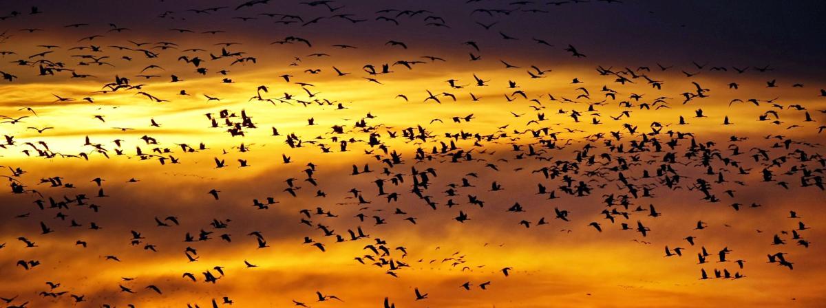 20180419_new_art_026