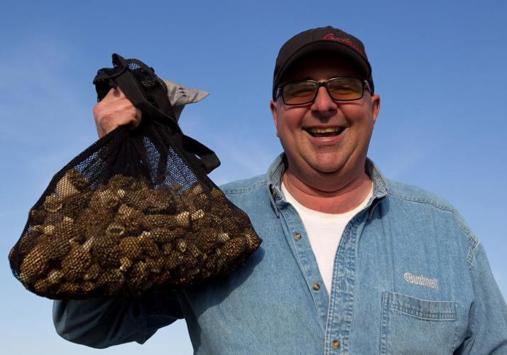 Morel hunting Finding gold in a flood zone