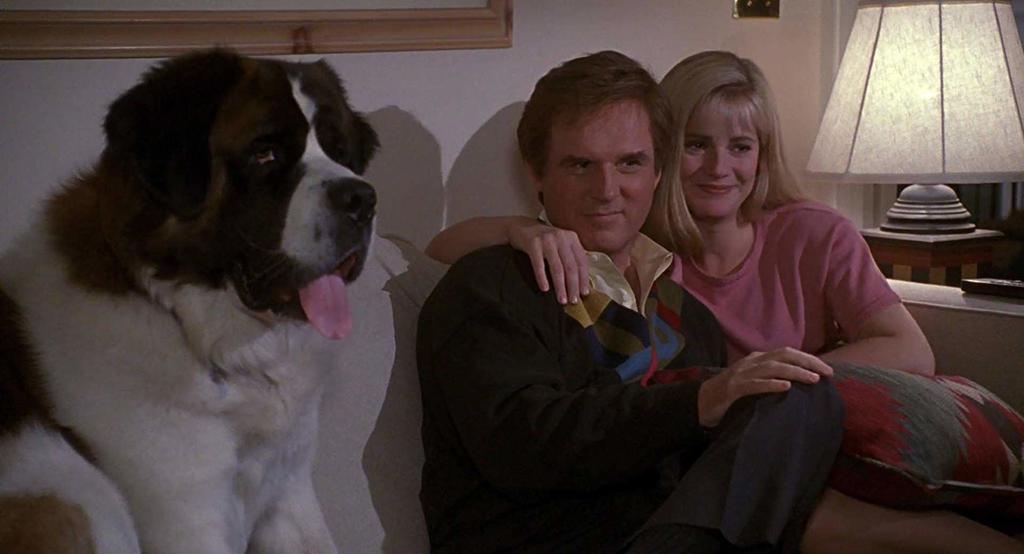 From Old Yeller To Up The Dog Dies At The End And The 10 Other Types Of Dog Movies Entertainment Omaha Com
