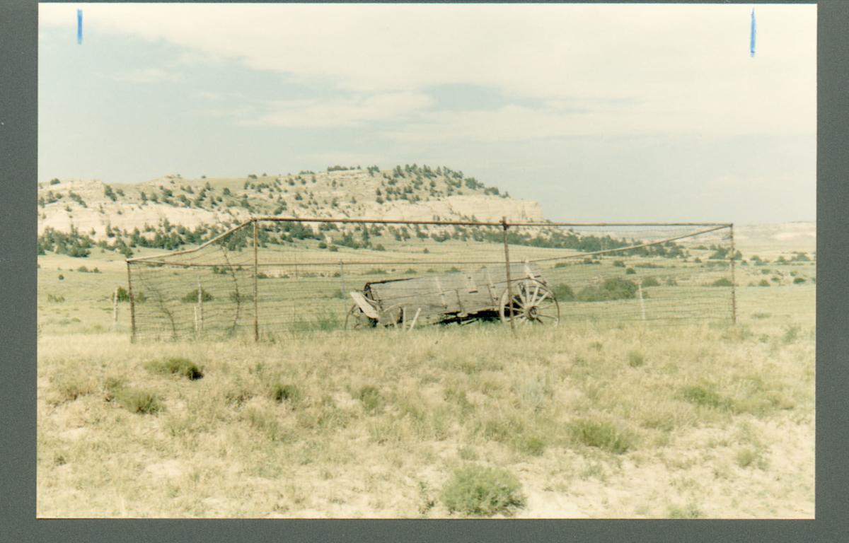 Learn about the Oregon Trail and westward expansion