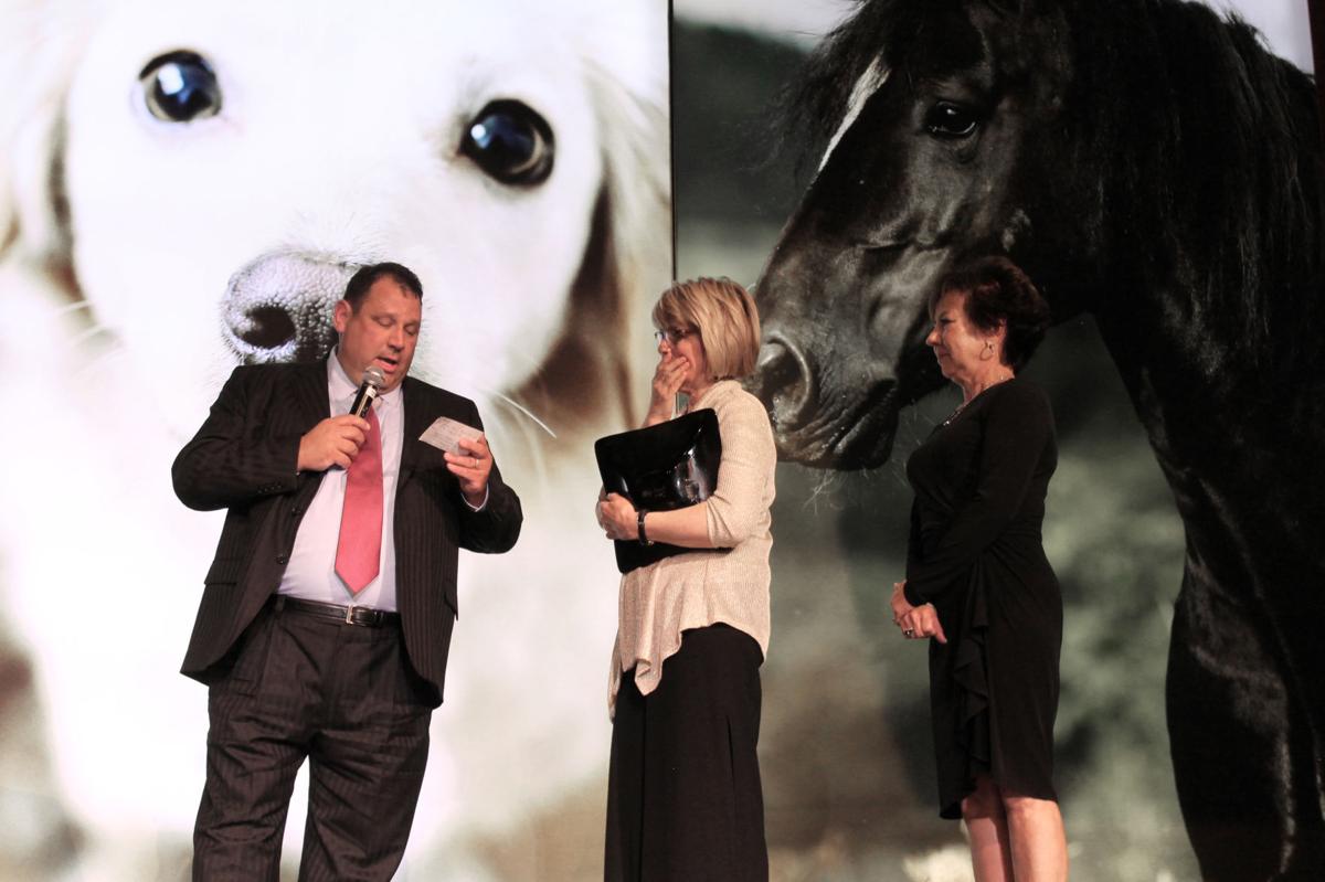 kelly-nebraska-humane-society-aims-to-be-the-best-dog-gone-adoption-center-in-u-s