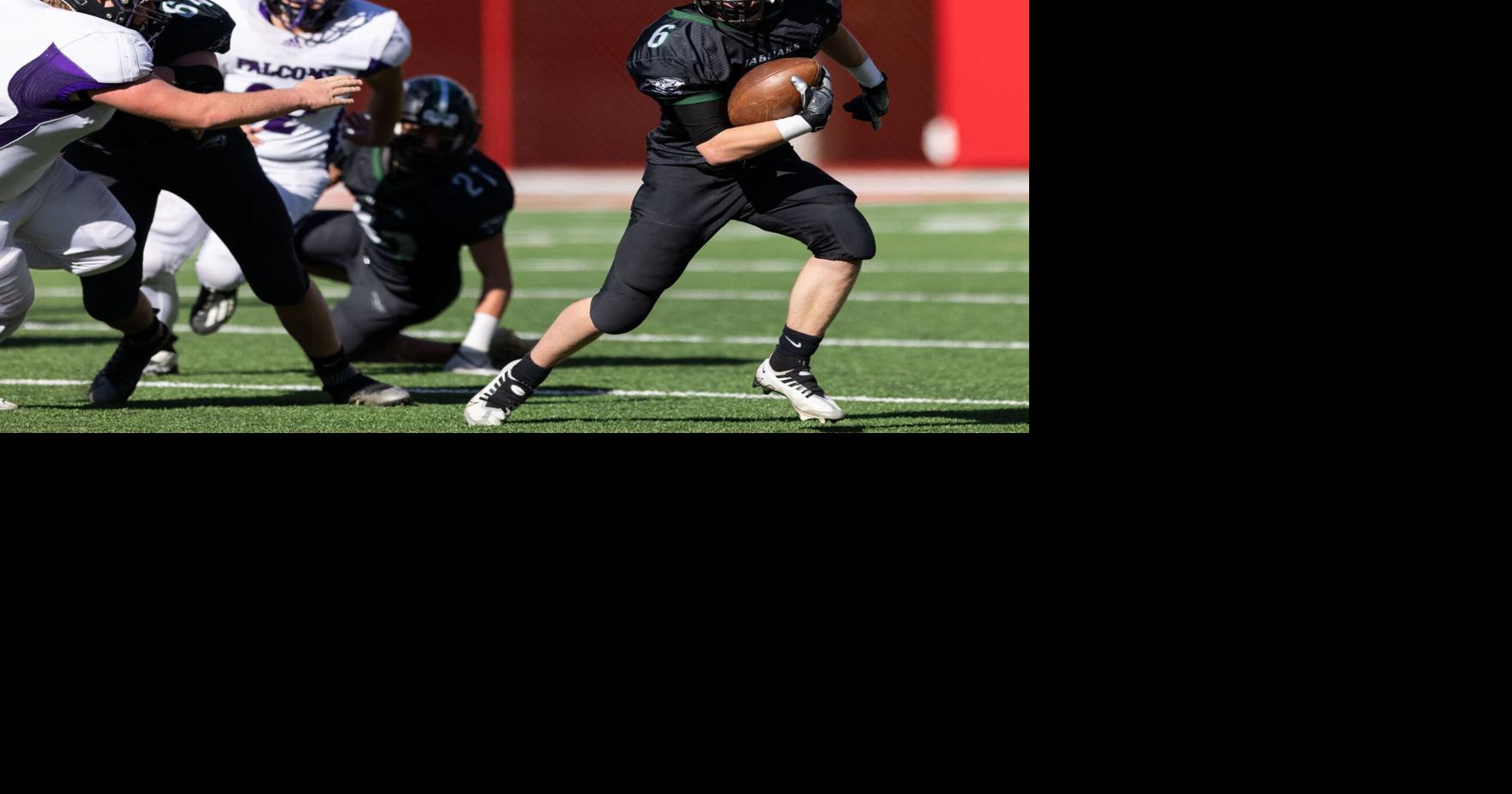 HowellsDodge wins Nebraska high school's Class D AllSports Award