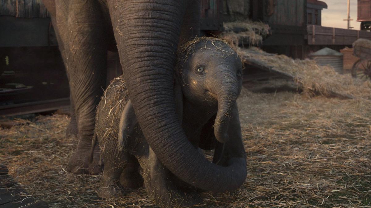 20190329_liv_dumbo_review