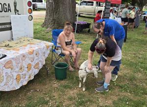 palooza03.jpg