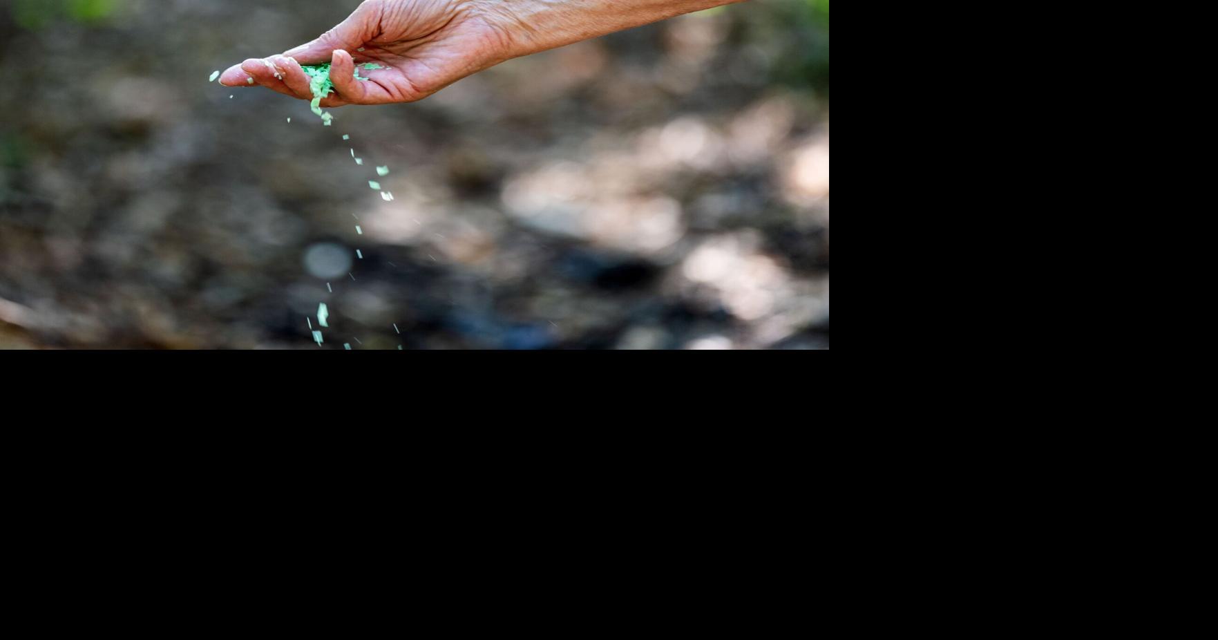 In the Garden Gardeners swear Irish Spring soap deters rabbits and