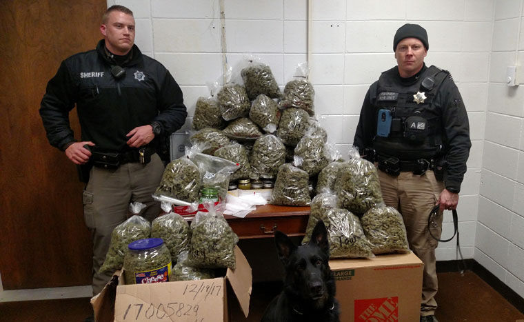 Image result for Elderly couple preparing marijuana as Christmas gifts arrested