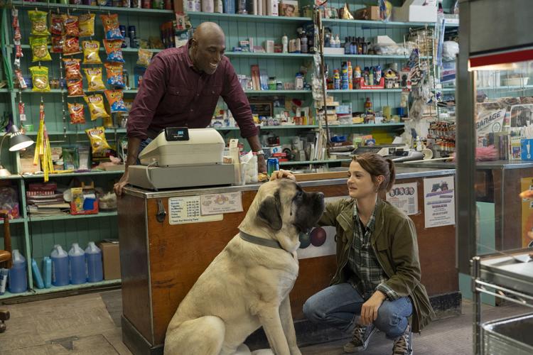Javascript Makes You Cry Review: 'A Dog's Journey' will make you cry, but it does not earn those ...