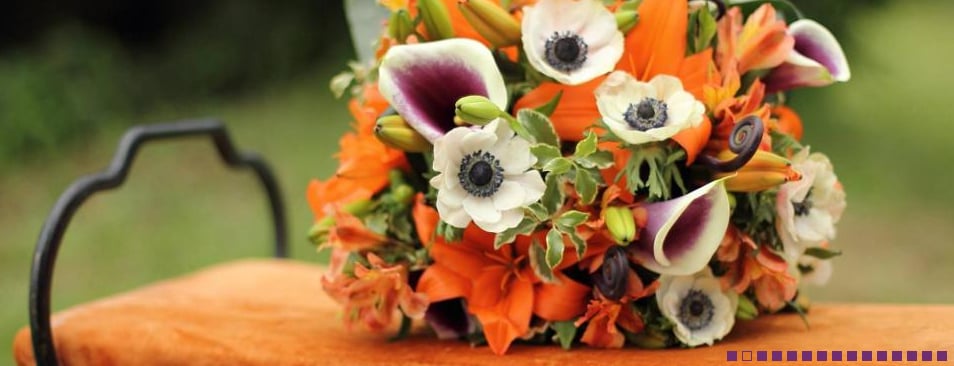 Loess Hills Floral