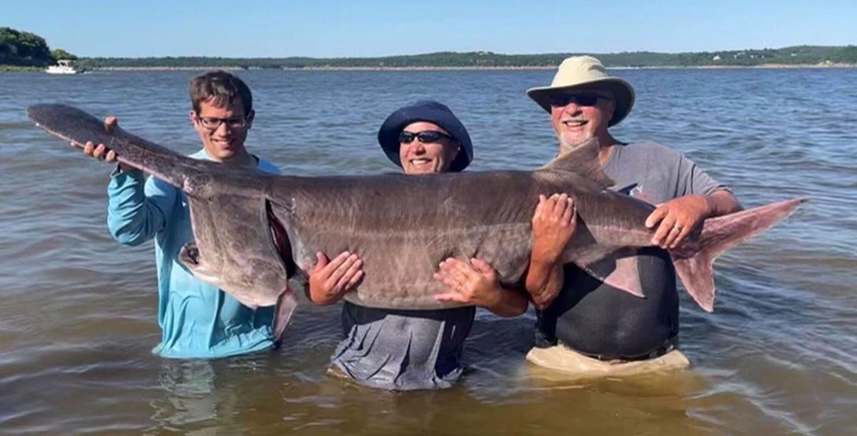 Record-setting Missouri fish caught in Lake of the Ozarks
