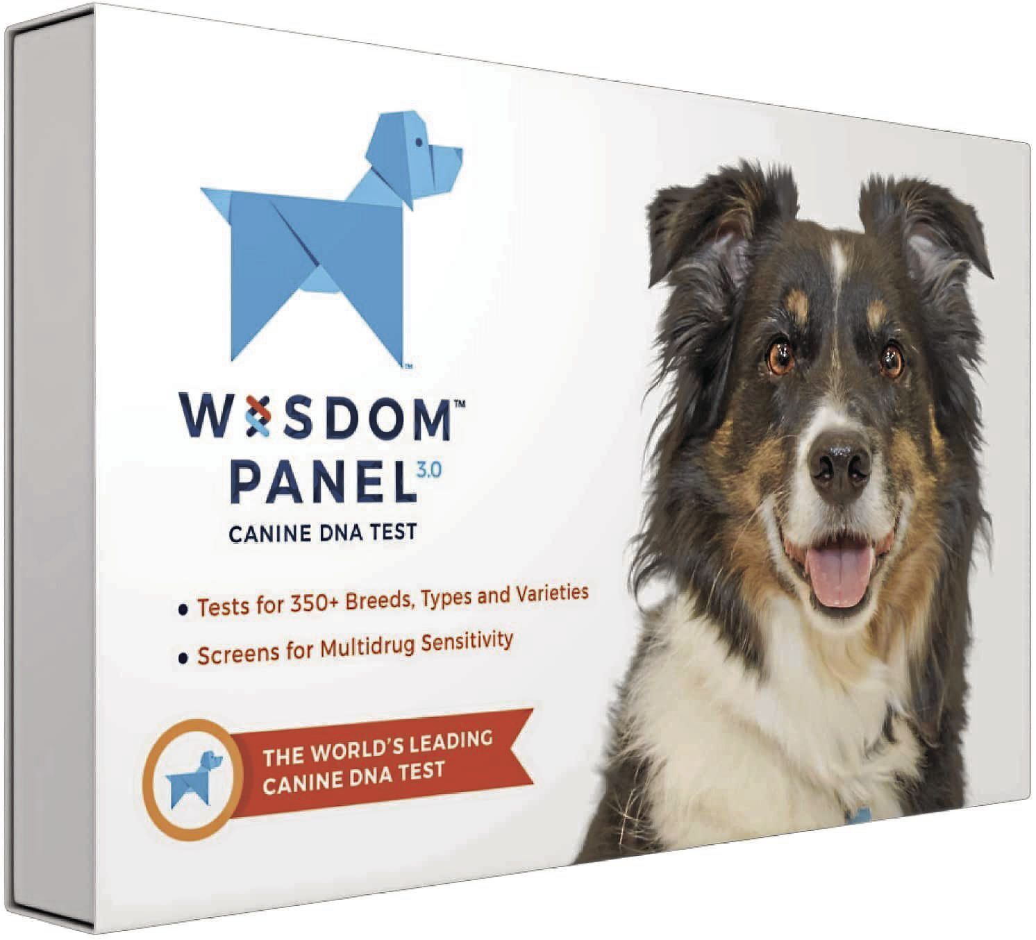 Wisdom panel mixed breed dna hot sale test kit