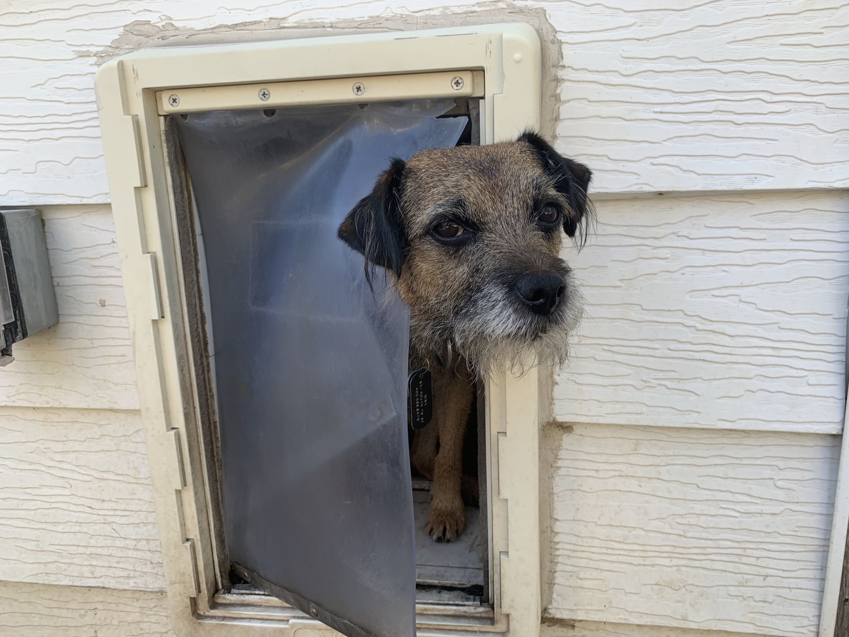 how to get puppy to go to door to potty