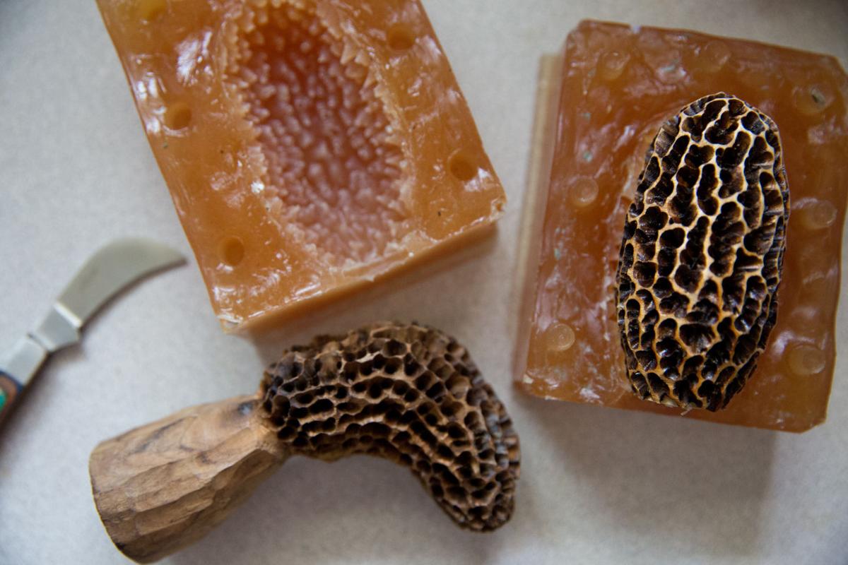 Davis Morel mushrooms are sweet music to Omaha couple