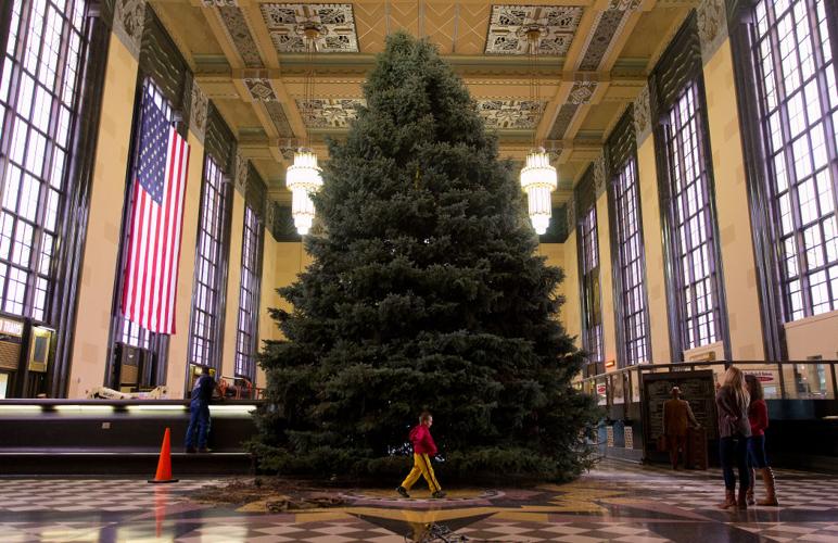 This year's Durham Christmas tree, a 40foot Colorado blue spruce, was