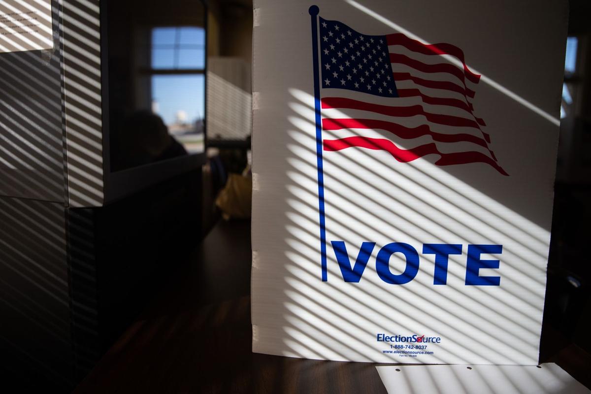 20201104_new_voting_ar02 (copy)