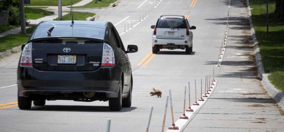 150738 KS-16_WILDART005