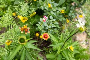 062526-owh-new-gardenwalk-jc-4.JPG