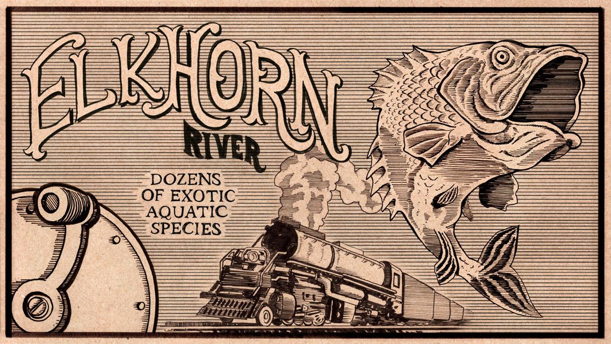 A true fish tale: How a railroad crash boosted Nebraska's fishing stock in the late 1800s