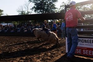 072926-owh-new-sarpyfair-nf-04.JPG