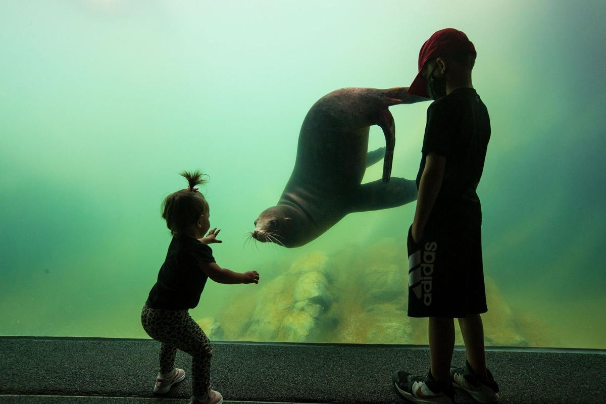 Zoo (copy)