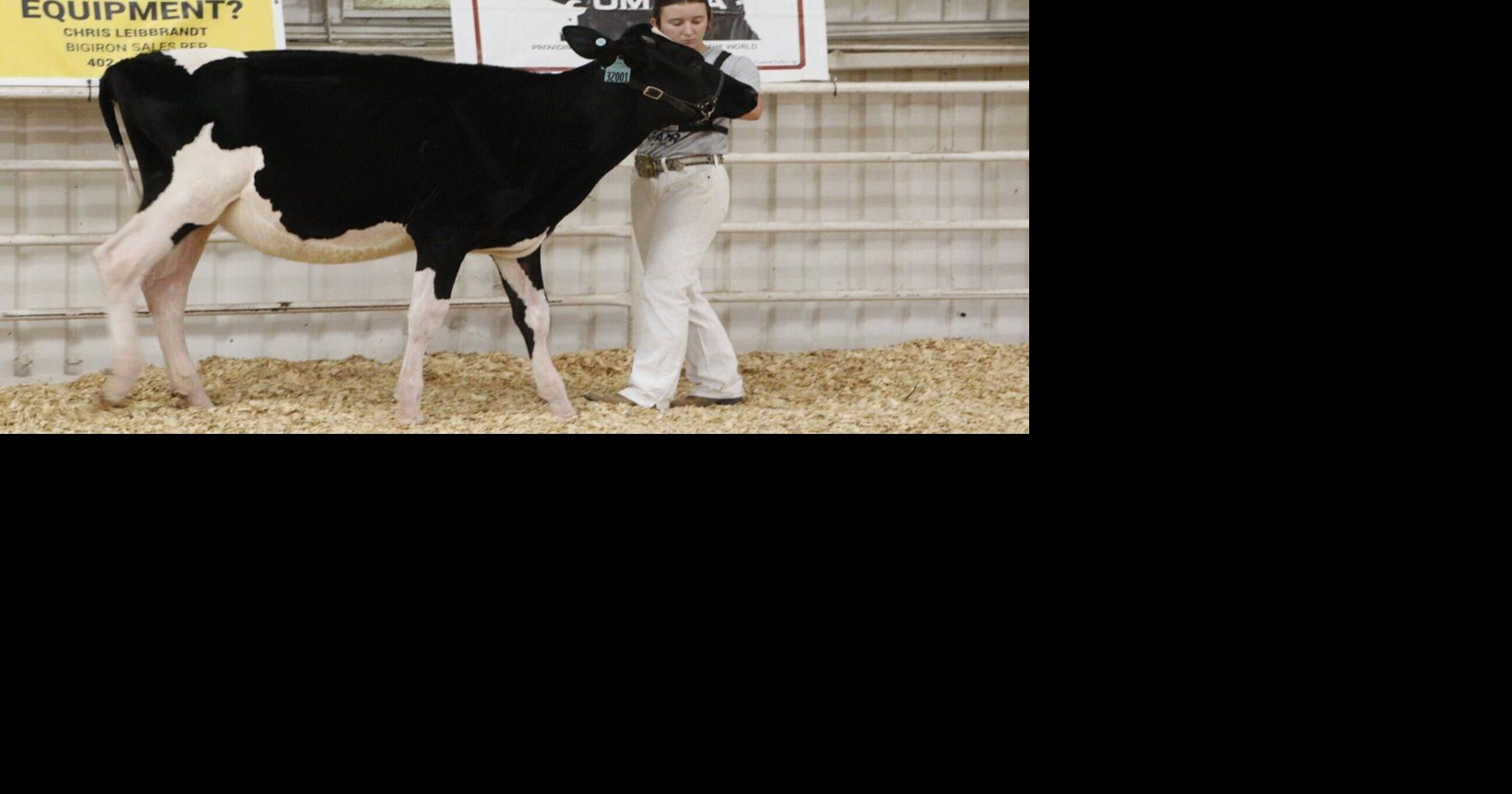 2026 Gage County Fair livestock ribbon winners