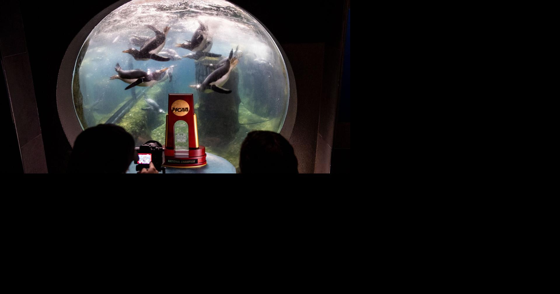 From zoo trips to Jell-O shots: How Omaha’s fan favorites keep the CWS spirit alive