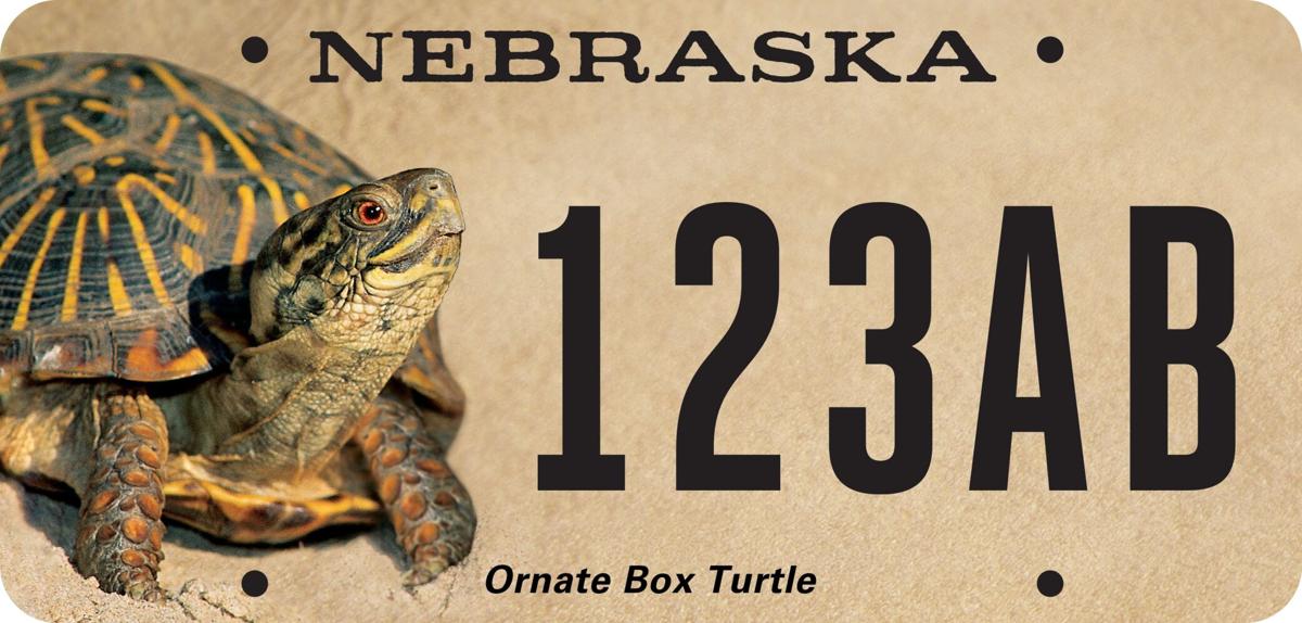 Turtle-License-Plate-mockup (copy)