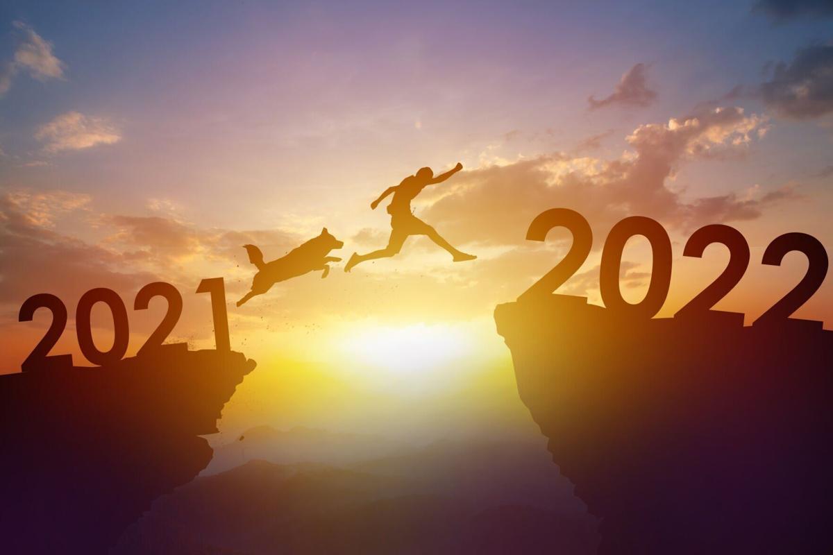 Top 5 pet new year's resolutions for 2022 - Image