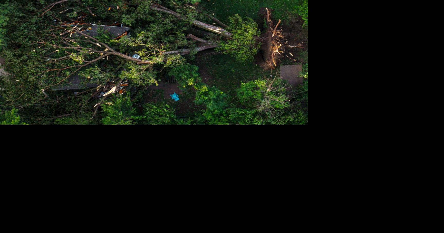 Photos: Wednesday night storm causes tree to fall on Papillion house