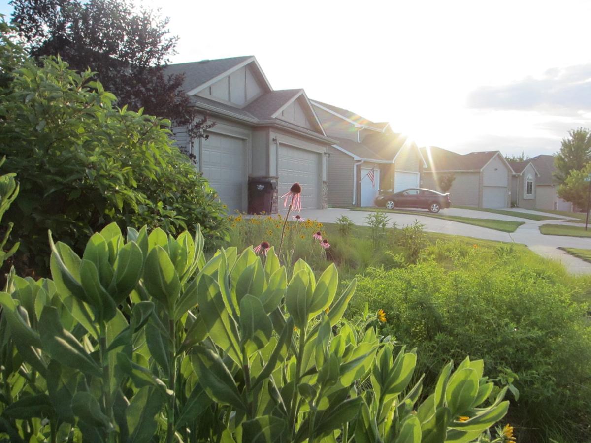 Forget Bluegrass Prairie Landscapes Could Be The Yard Of The Future Inspired Living Omaha Com