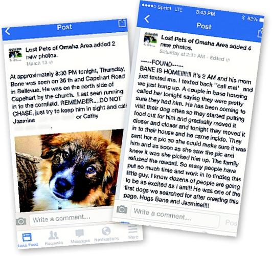 craigslist pets omaha lincoln