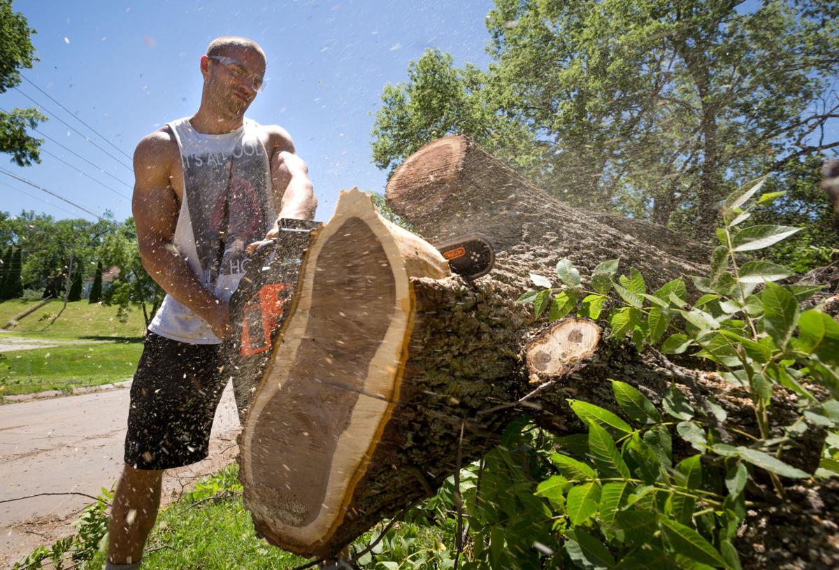 There S No Big Rush To Dump Trees That Came Down In Storm Replanting Should Wait Until Cooler Weather Local News Omaha Com