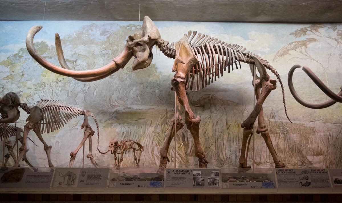 Only in Nebraska — Cornhusker state oddities Special Sections