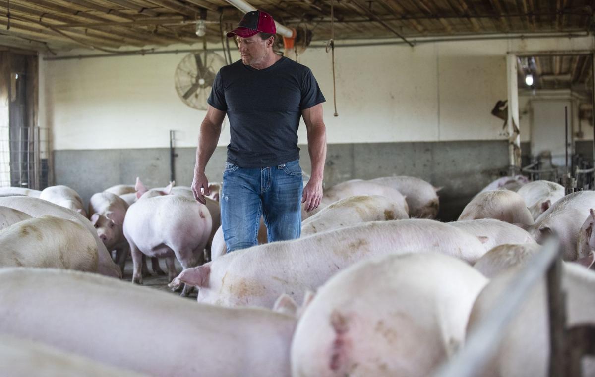 20200423_new_farmwoes_kf8