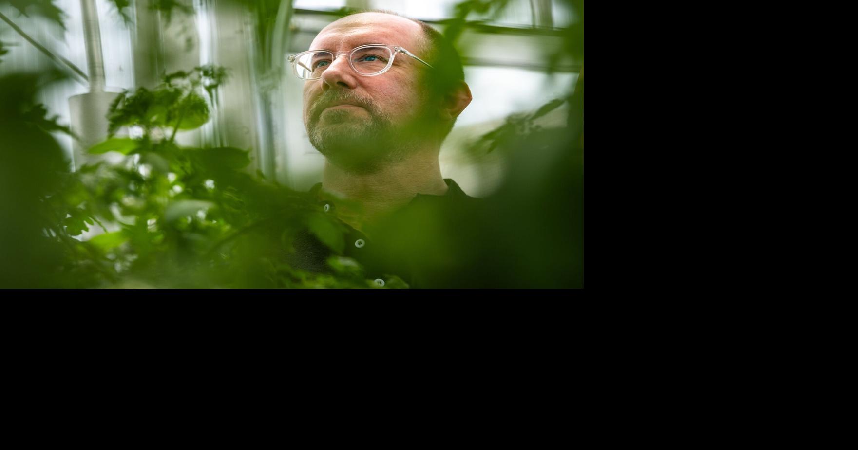 Native plants reshaped the Bellevue University campus. They're studied in an advanced lab