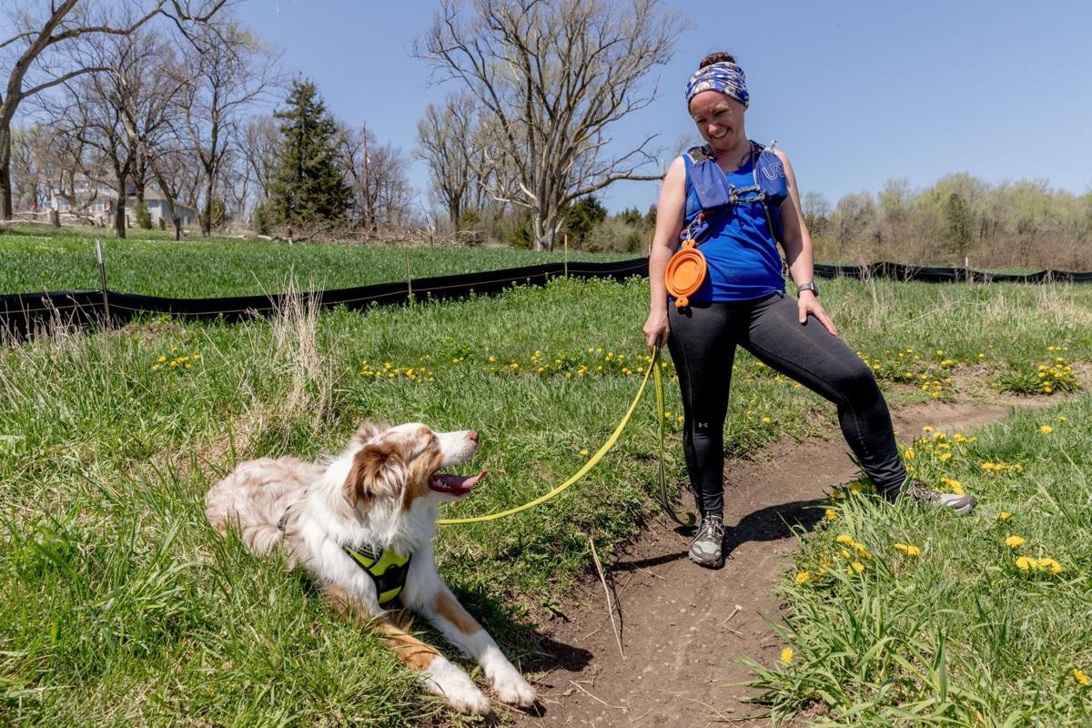 Want To Run With Fido A Guide To Training Your Dog - 