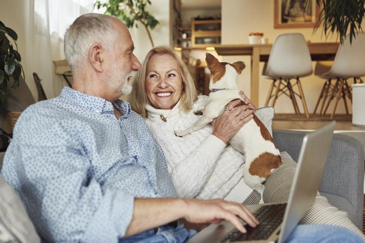 Retired senior couple with dog at laptop