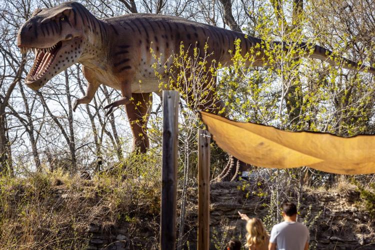 Lifelike dinosaurs now among the creatures at Wildlife Safari Park