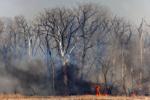 041423-owh-new-bigfire-pic-cm01.jpg