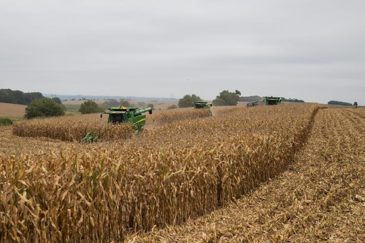010723-owh-new-farmland-01