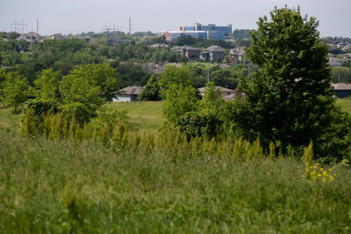 At 180th And Blondo Longtime Mulhall Family Tree Farm To Make Way For Housing Businesses Money Omaha Com