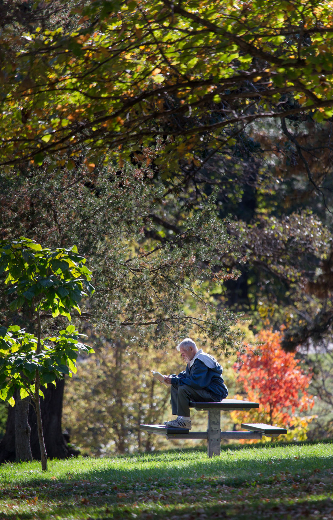 Fall colors in Omaha should burst forth over the next week | Weather