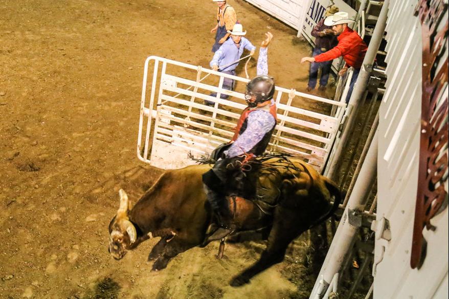 Sarpy County Fair & Rodeo takes fun to extreme with monster trucks