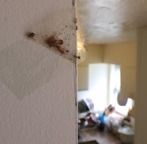 Squalid Omaha Apartments Housing Refugees Targeted By City Operation In Humanitarian Effort
