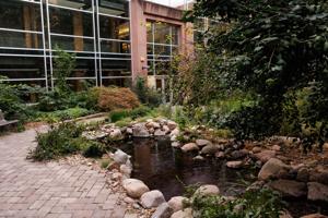 090326-owh-new-pond-nf-02.JPG