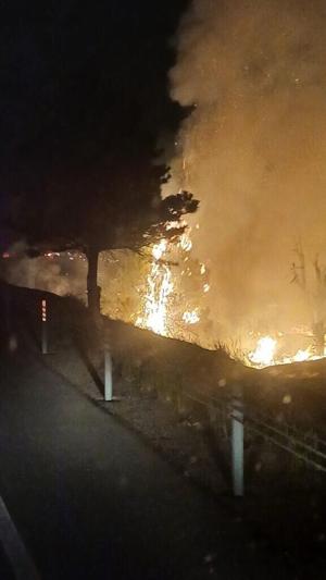 PHOTOS: South Fork Fire