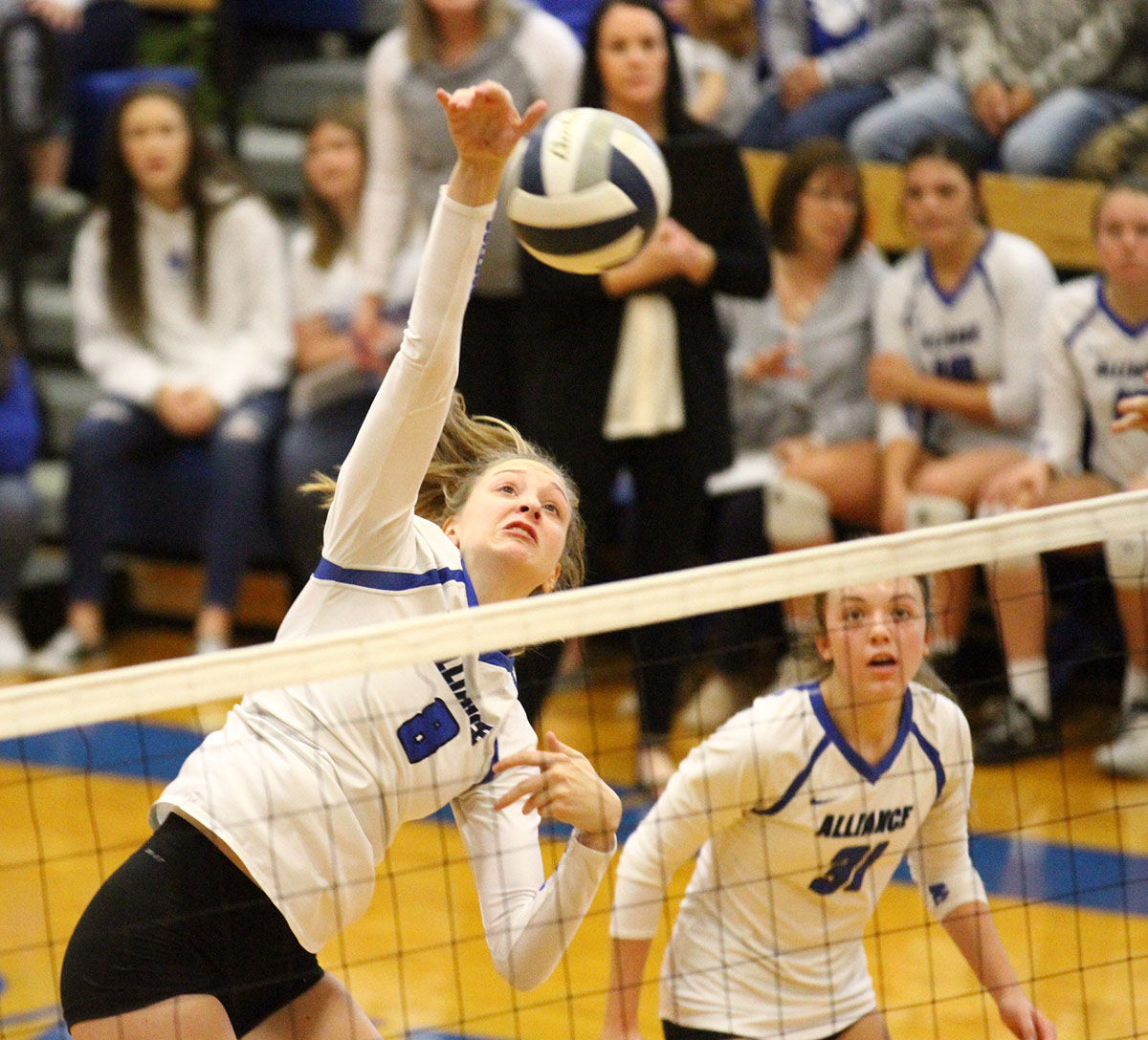 Class B No. 7 Alliance Advances To State Volleyball Tournament For ...