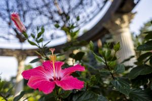 Lincoln Sunken Gardens